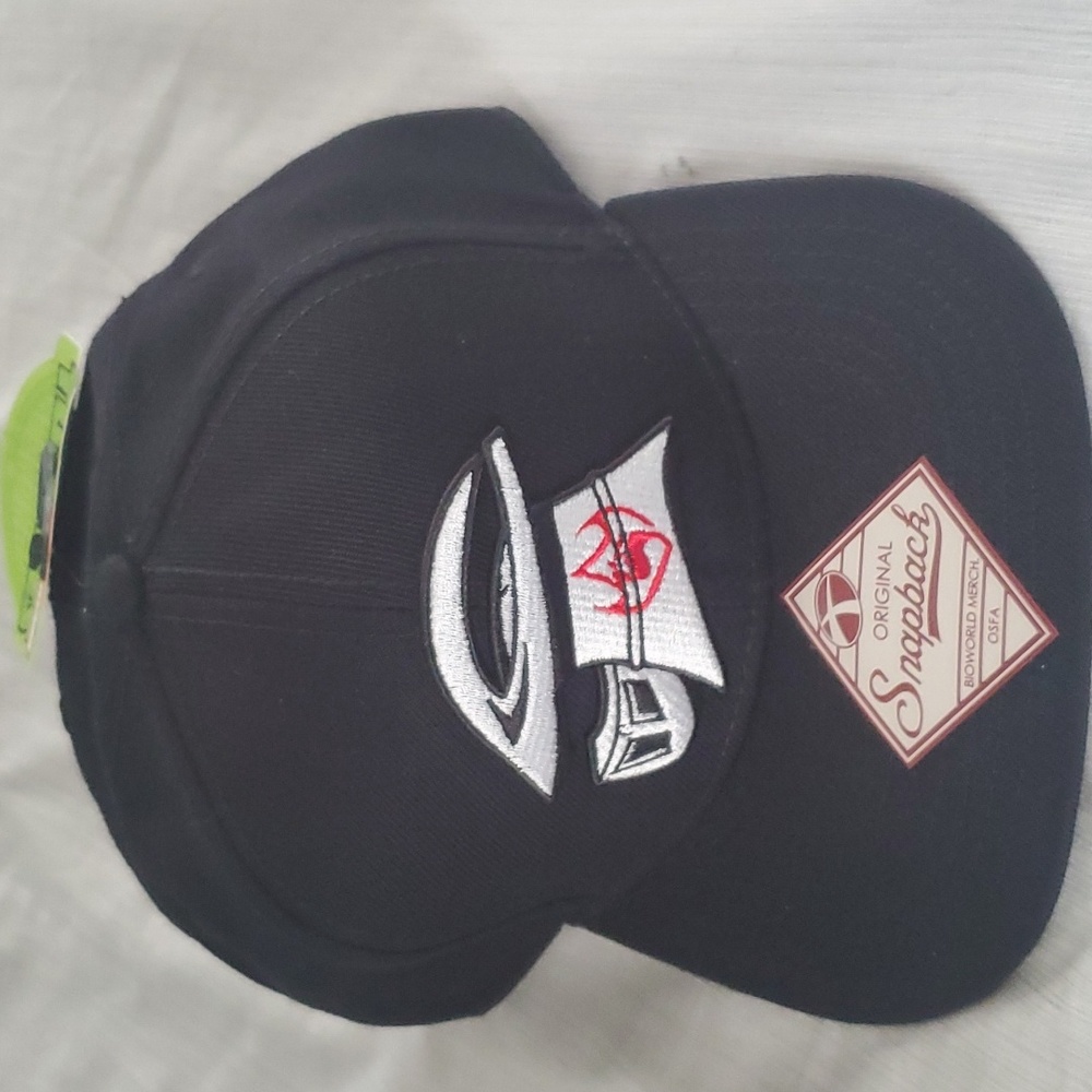 Teenage Mutant Ninja Turtles head of the foot Shredder hat